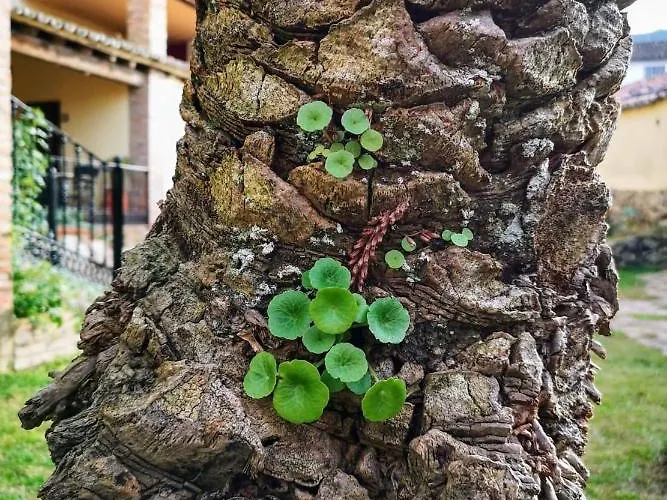 Casa rural La Casa Del Marqués